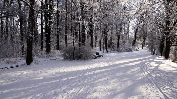 Schatten / ***
