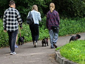 Auf dem Spaziergang / ***