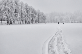 Winter-Teich / ***