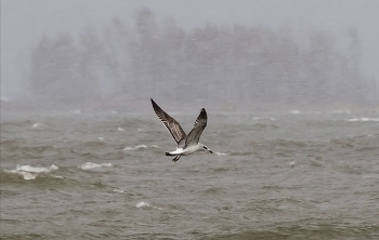 Schlechtes Wetter / ***