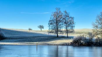 frostig / Bäume am Eichener See