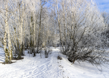 Morgen Winter / ***