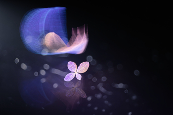 Trembling / 2024