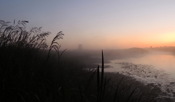 At dawn / ***