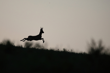 Evening exercise / ***