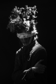  / ***