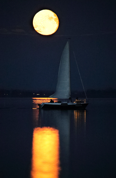 in the moonlight / ***