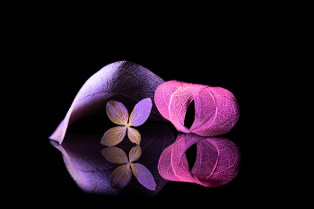 Sophisticated / 2024