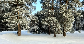 Am Ende des Winters / ***