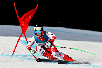 &nbsp; / Super - G 3
