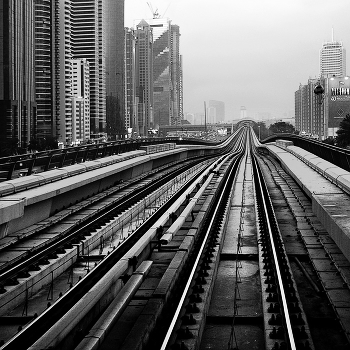 Lines / ***