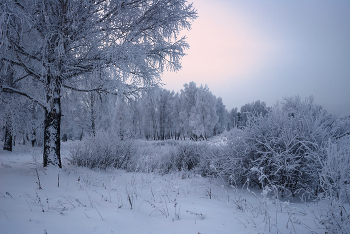 In der Schneewehe. / ***