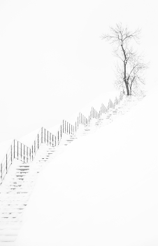 the hard way / ***