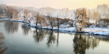 winter / ***