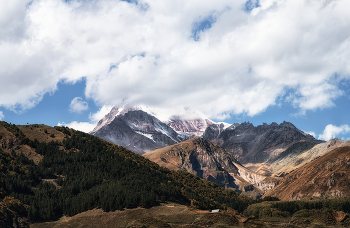 Kazbek / ***