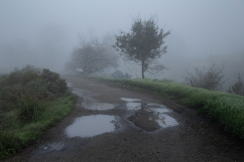 Morgennebel / ......