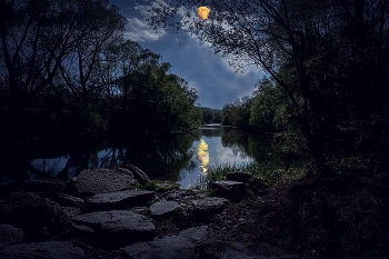 Moonlight. / ***