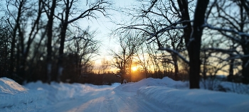 Sunset / ***