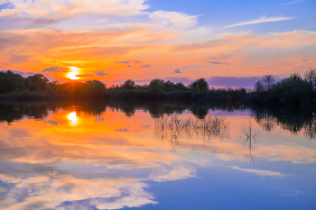 Sommerabend. / ***