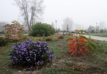 Morning in October / ***