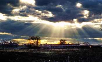 Rays / ***