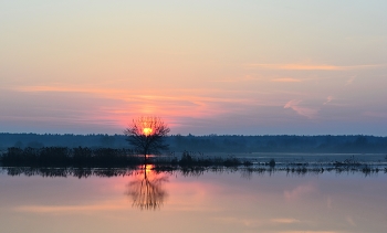 Frühling Morgendämmerung / ***