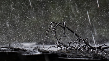 Rainy Stimmung / ***