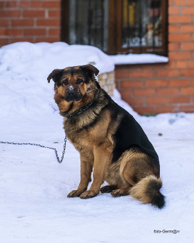 on guard / ***