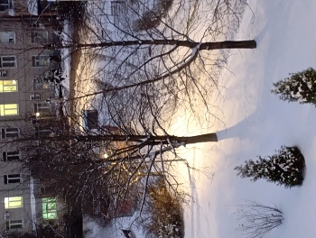 winter / ***