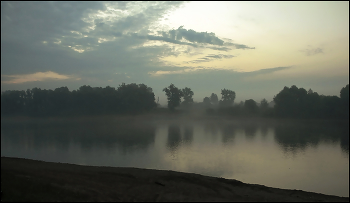 Foggy morning / ***