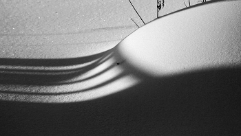 Snow Flower / ***