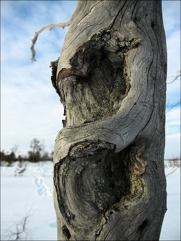 Postkarte / ***