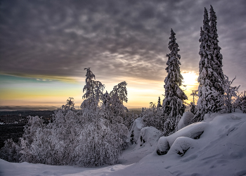 Winter / ***