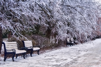 Winterschlaf / ***