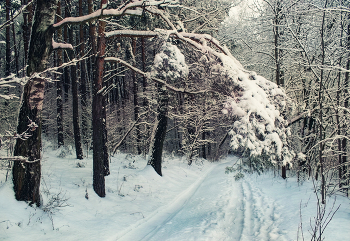 Winter etude / ***