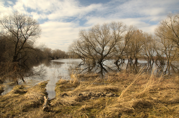 High water / ***