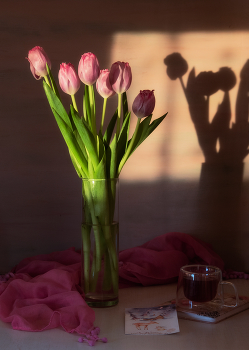 Tulips / ***
