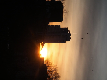 @tutstreet / @tutsun