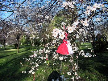 Oncoming of spring / ***