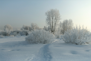 Frosty freshness / ***