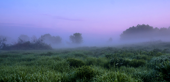 Nebel / ***