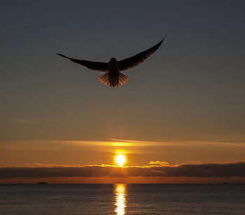 Dawn / ***