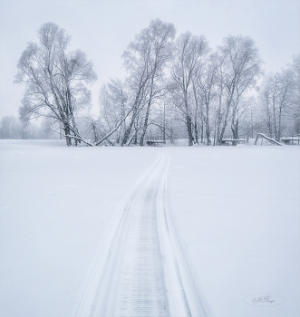 Winter-Teich / ***