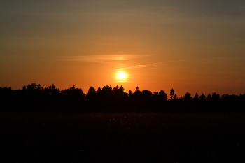 May sunset / ***