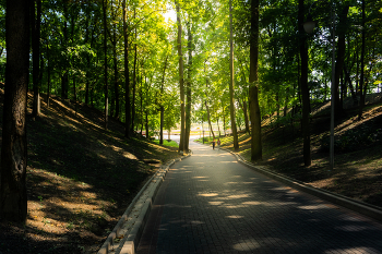 Toward the light / ***
