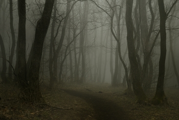 Gloomy / ***