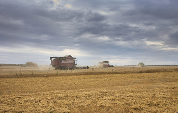 &nbsp; / **_______________*