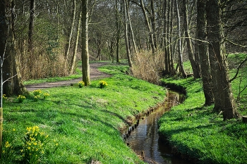Das ist Frühling! / Ein Park im Frühling mit Bach.