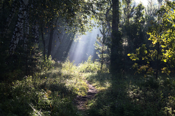 Path / ***