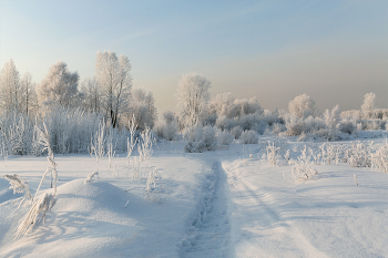 Freeze / ***